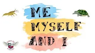 Sexual vs. Asexual Reproduction - Science Rap Academy