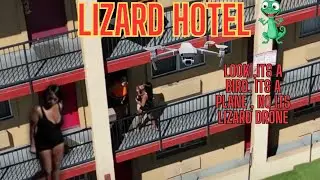lizard drone 4