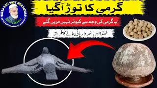 How to protect our pigeons to hot weattherٹھنڈا ہاضمہ والا پانی گھڑا بناے کا طریقہ