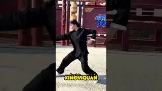 Practicing Xingyi boxing can protect oneself.#KungFu #selfdefense