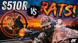 S510R Air Rifle - From Target Practice to Live Hunting