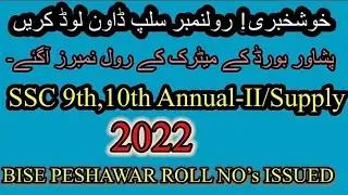 How to get Roll No Slip from Bise Peshawar | SSC Special Exam 2022 | 9th,10th Annual-II Exams 2022