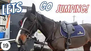 COME WITH ME TO TAKE MY YOUNG HORSE FOR A JUMP LESSON! | tarabrowneventing
