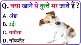 Gk Questions And Answers || Gk in Hindi || General Knowledge || Gk Quiz || NNB GK STUDY