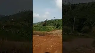 Trabas Jalan Pedesaan #pedesaandijawabarat #petualangan #nature #pedesaan #kampung