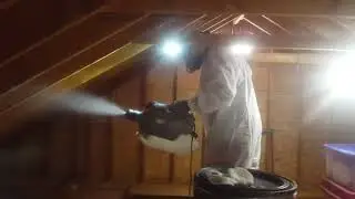 Leaky Roof in Rumson, NJ Leads to Mold Growth