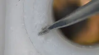 Polymer UV degradation