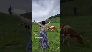 #igishakamba, #gakondo