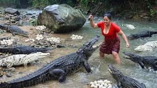 Women Catch Crocodile egg and Chicken at river - Fried Crocodile and for dog Eating delicious 4k
