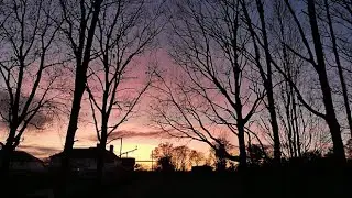 Walking Around Earls Court Reserve, Oldbury Farm & Oldbury Wood, Worcester, UK 31st &lrm;December &lrm;2025