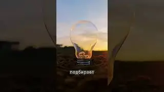 Интересная задумка с камерой😁😁😁😁#fun #shorts #shortvideo #shortsviral #viral #viral #camera #sunset