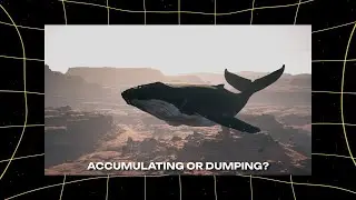 5 Tools to Track Big Moves & Protect Your Gains | Crypto Whales | Part 3 of 6 | MemeFi