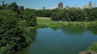 Then & Now: Great Lawn