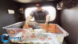 Safe Haven Baby Box Saves Newborn in Lubbock, Texas