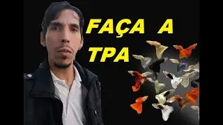 FAZENDO TPA CERTA VOC&Ecirc; PODE CRIAR GUPPY EM QUALQUER LUGAR SEM BOMBA E FILTRO