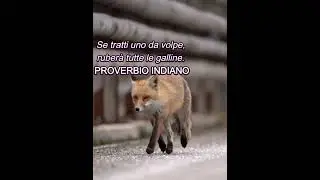 PENSIERO DI OGGI 27/07/2025