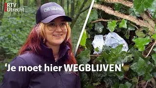Honden mogelijk VERGIFTIGD door drugsresten uit mensenpoep | RTV Utrecht