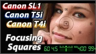Canon T5i T4i SL1 Focusing Squares Tutorial Training Video