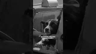 This dog was sent into space&hellip;