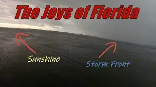 Cant Believe I Caught These Fish During a Storm Front!