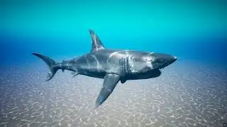 Project Hunt - Trophy Waters