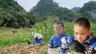 singlemother and her two children went to work in the garden and were harmed by a bad guy.Daily life