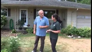 Summer Water Tips