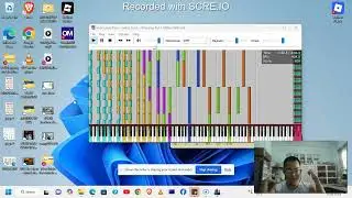 [Black MIDI] Montage for 2 midi songs requested by the super mario bros 2 (pagefile lag)