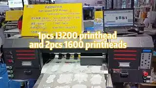 2024 Big Color DTF printer latest printing solution, high cost performance, come and have a look!