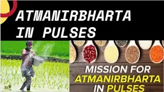 MISSION FOR ATAMANIRBHARATA IN PULSES||PALAPITTA ONLINE ACADEMY