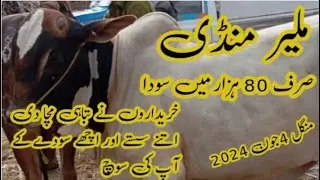 Malir mandi latest price update 2024 || Sasti Mandi || Soday hi soday #mandi