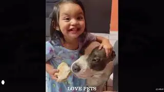 When Your Baby and Dog Have A Secret Language ❤️