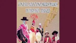 Chujña Puncho