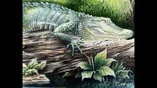 ai alligator moving off of log with sound from artwork