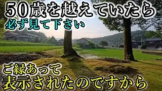 ※ご皇室にも縁があるコウノトリ伝説の地【兵庫県豊岡市下宮 久久比神社】