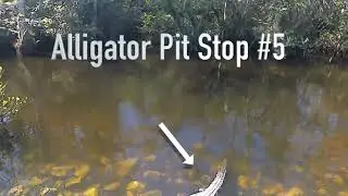CRF 250L Rally Takes on Loop Road in Florida's Everglades