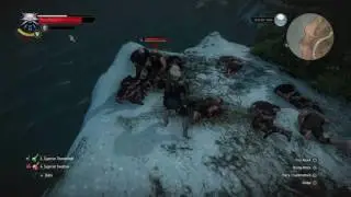 The Witcher 3: Wild Hunt &ndash; Master Marksman trophy quick and easy