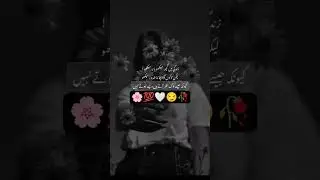 #maikada#foryou#explorepage#trending#poetry#music#yt#like#fypシ#attitude#whatsappstatus#viral#shorts