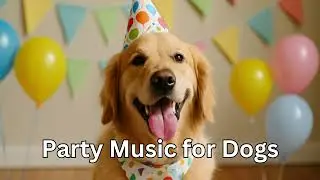 Party Music for Dogs 🎉🐶 | Fun, Upbeat Instrumentals for Dog Birthdays & Celebrations