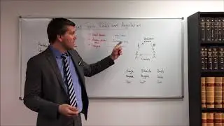Legal Technology: Risk and Regulation