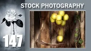 147. Stock. Филосовский натюрморт-