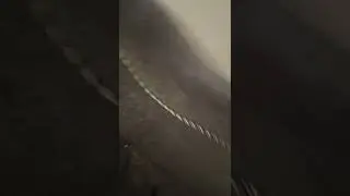 TCL mendadak mati total