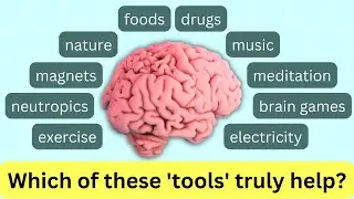 Which 'Tools' ACTUALLY Help With Brain Function?