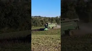 Moisson de tournesols 2025 avec une #johndeere #agriculture