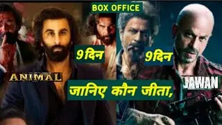animal V,s Jawan 9th day box office collection worldwide #boxofficecollection #animalboxoffice,