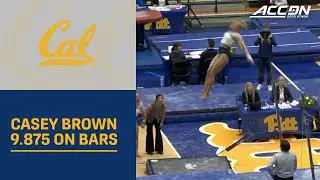 Cal's &nbsp;Casey Brown Comes In 1st With 9.875 On Bars | 2026 ACC Gymnastics