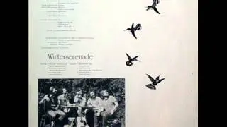 Kolibri - Tanz der Kolibris
