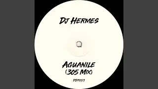 Aguanile (305 Mix)