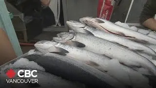 B.C. seafood industry urges consumers to buy local as tariff deadline looms