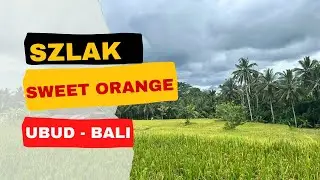 Sweet Orange Trail Ubud: Kr&oacute;tka Wycieczka po Polach R&oacute;żowych Bali Ubud